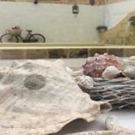 Garibaldi 15 3* Marsala